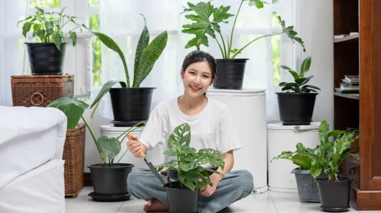 Apa itu 'Eco Living'? Ini Manfaatnya Bagi Kehidupan Sehari-hari
