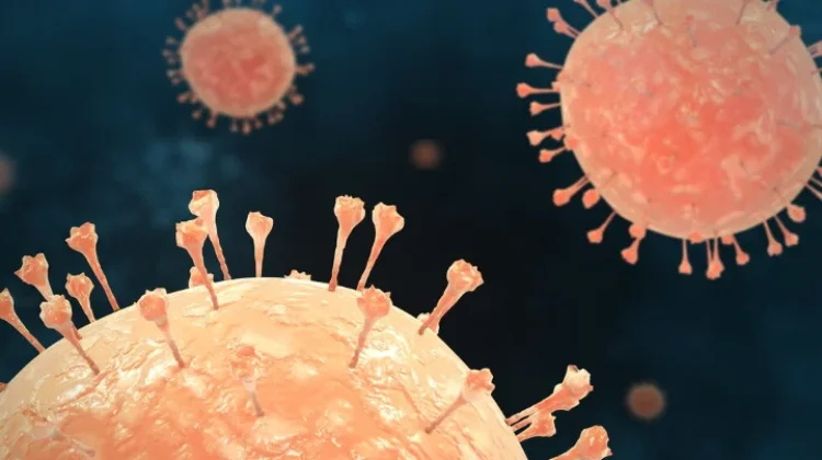 Wabah Hantavirus di Kapal Pesiar Tewaskan Tiga Orang di Atlantik