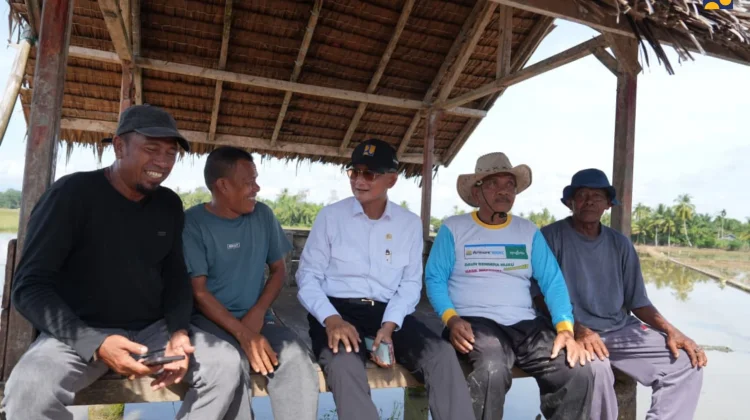 Rehabilitasi DI Krueng Pase Rampung, Pulihkan Produktivitas Pertanian Aceh Utara