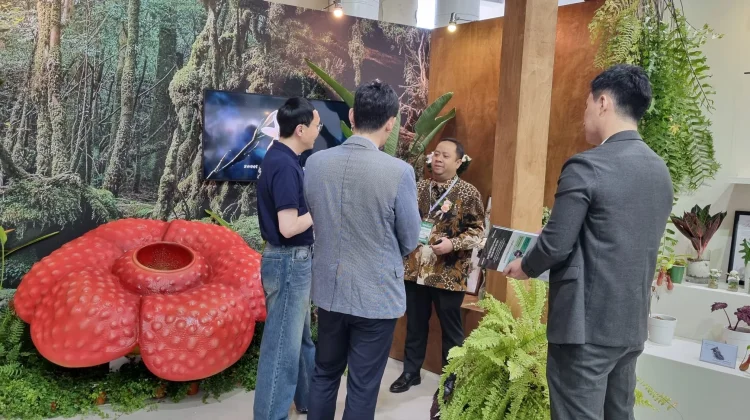 Florikultura Lokal Raup Potensi Transaksi Rp17,05 Miliar di Korea Selatan