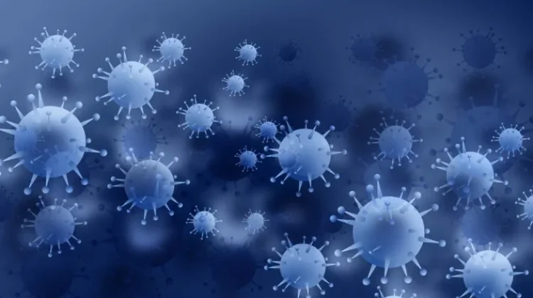 Mengenal Hantavirus yang Diduga Sebabkan Kematian di Kapal Pesiar