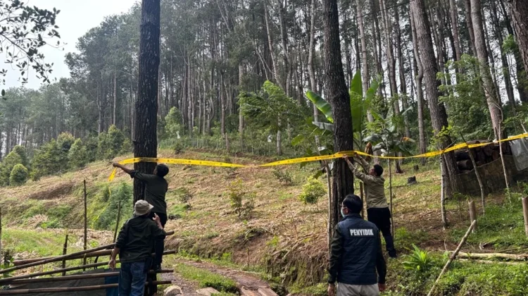 Perambah Hutan di Bone Terancam 10 Tahun Penjara