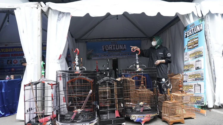 Sangkar Kayu, Simfoni Harapan di Festival Burung Berkicau