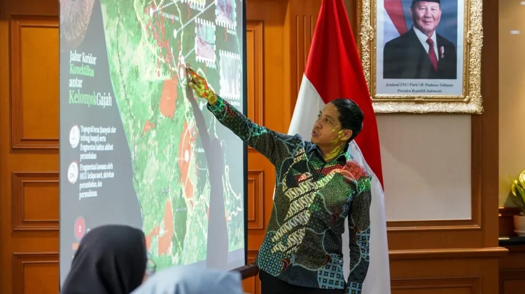 Menhut Siapkan Inpres Penyelamatan Gajah, Fokus Pulihkan Koridor Satwa