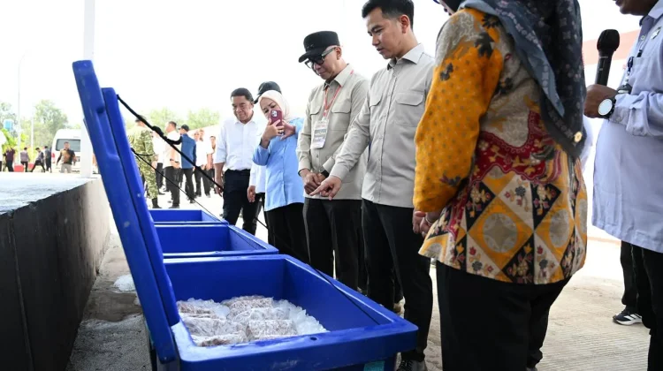 Wapres Minta Nelayan Maksimalkan Fasilitas demi Tingkatkan Produksi