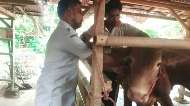 Marak RPH Tangerang Salahi Prosedur jelang Iduladha