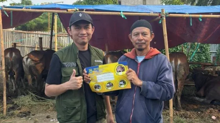 Pemkot Tangerang Data Lapak Hewan Kurban jelang Iduladha