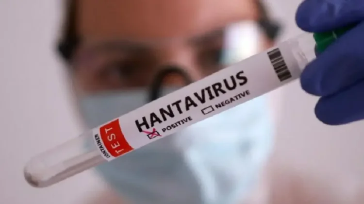Suspek Hantavirus di Kulon Progo Dipastikan Negatif
