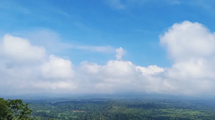 Gunung Semeru Erupsi, Kolom Abu Capai 800 Meter