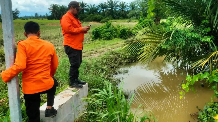 BNPB Pantau Dampak Banjir Lahan Pertanian di Luwu Timur