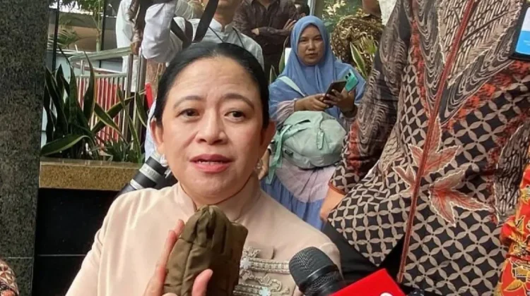 Puan Minta Pemerintah Beri Kepastian Informasi terkait Ancaman Hantavirus
