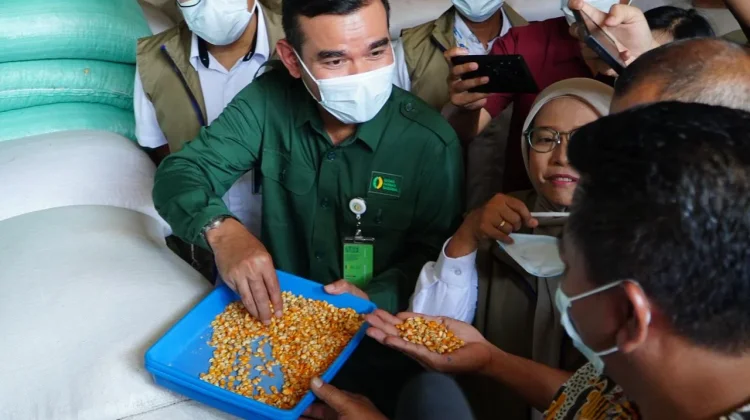 Pemerintah Salurkan SPHP Jagung di Jateng