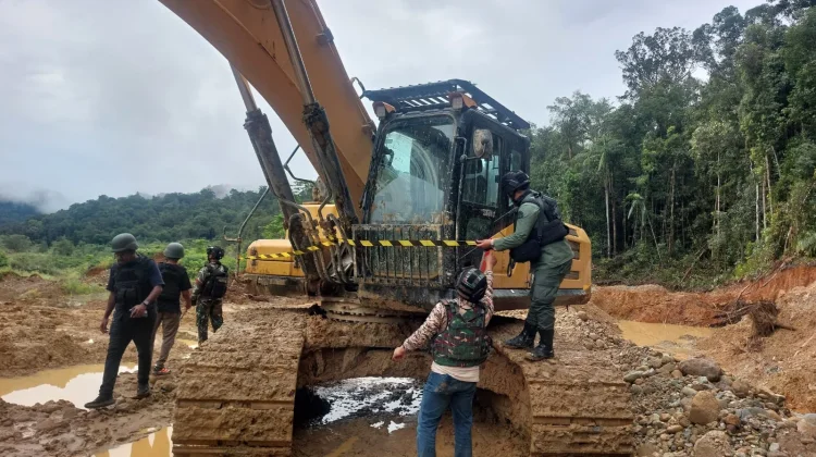 Kemenhut Bongkar Dugaan Tambang Emas Ilegal Terstruktur di Nabire, 7 WNA Diamankan