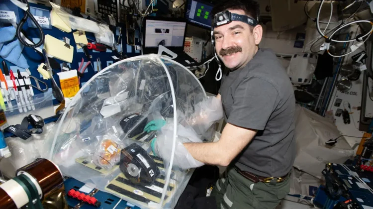 Astronaut ISS Teliti Bakteri Pneumonia di Lingkungan Luar Angkasa
