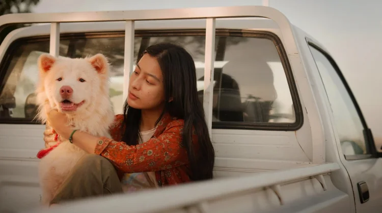 Sinopsis Film 'Gohan', Kisah Anjing Jalanan yang Mengubah Hidup Banyak Orang