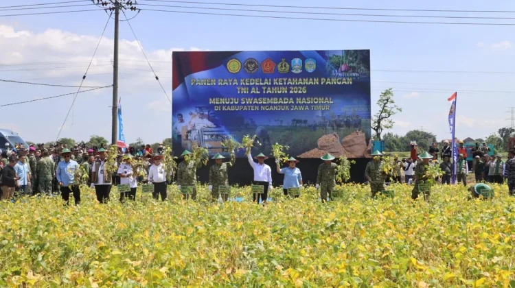 TNI Dukung Swasembada Kedelai, Panen Raya Digelar di Nganjuk