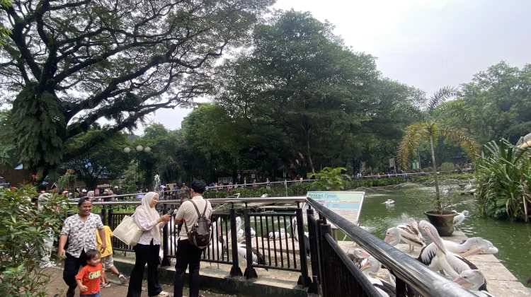 Libur Panjang, Ragunan Jadi Pilihan Wisata Edukatif Keluarga