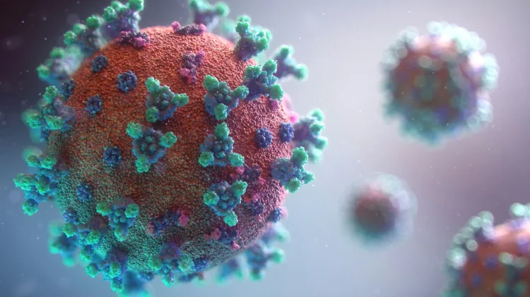 Dunia Hadapi Risiko Pandemi Lebih Besar dan Ancaman Ketimpangan Global