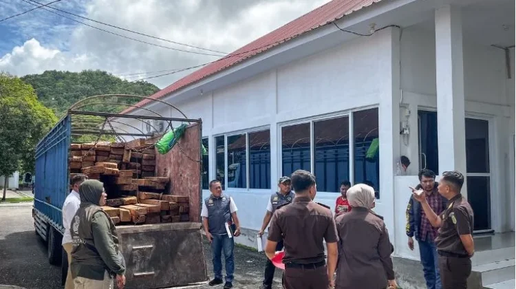 Kemenhut Bongkar Rantai Distribusi Kayu Ilegal Lintas Provinsi di Sulawesi