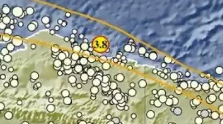 Gempa Magnitudo 3,8 Guncang Timur Laut Sarmi Papua