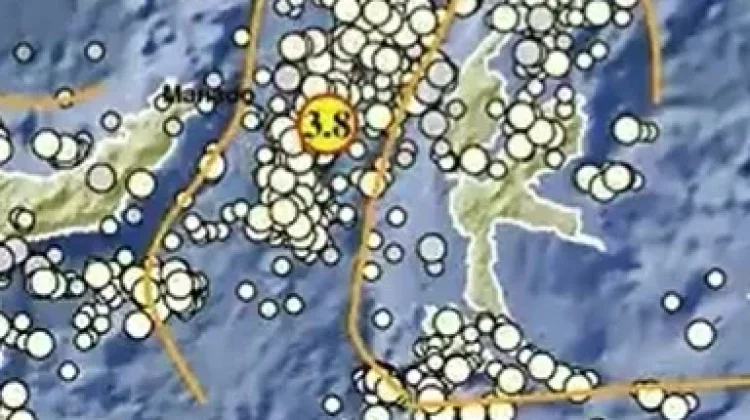 Gempa Magnitudo 3,8 Guncang Barat Laut Jailolo