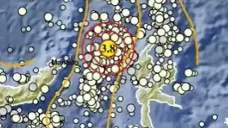 Gempa Magnitudo 3,8 Landa Barat Laut Halmahera Barat