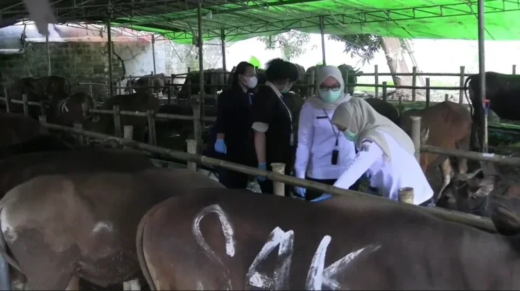 Jamin Layak Konsumsi, Tangsel Terjunkan 108 Pemantau Hewan Kurban