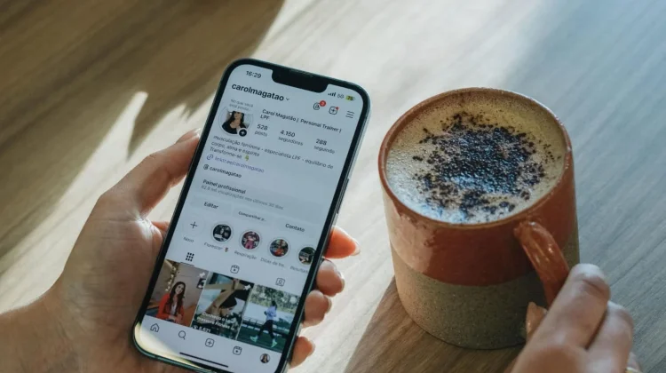 Cara Simpan Reels, Video, dan Foto Tanpa Ribet Lewat Snapgram Instagram Downloader