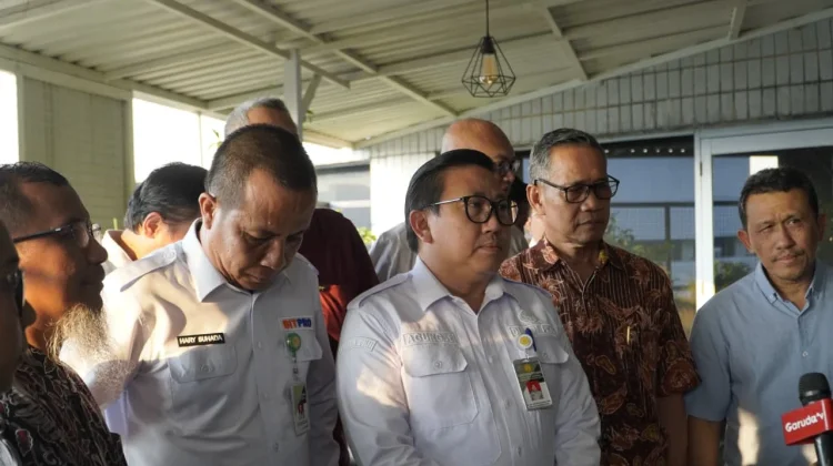 Kementan Stabilkan Harga Ayam Hidup