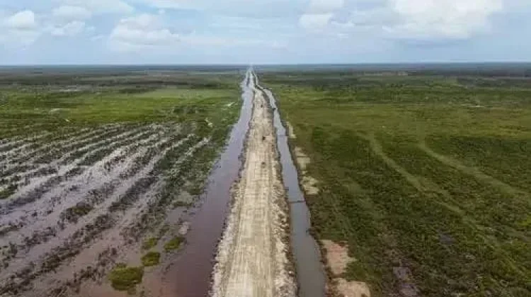 Pengamat: Program Cetak Sawah Wanam Perkuat Ketahanan Pangan