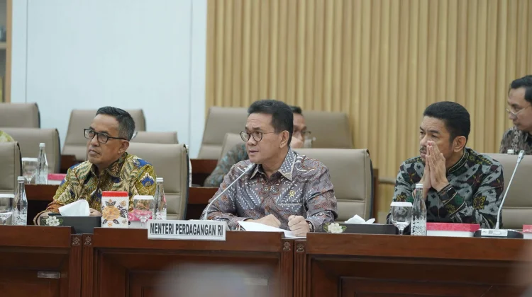 Mendag: Indonesia-Canada CEPA Perkuat Akses Produk RI ke Amerika Utara