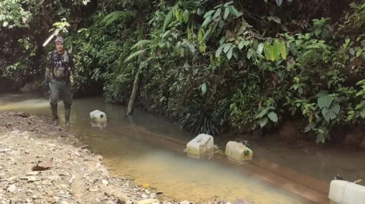 Kemenhut Dalami Peredaran Kayu Ilegal dari TN Bukit Tiga Puluh