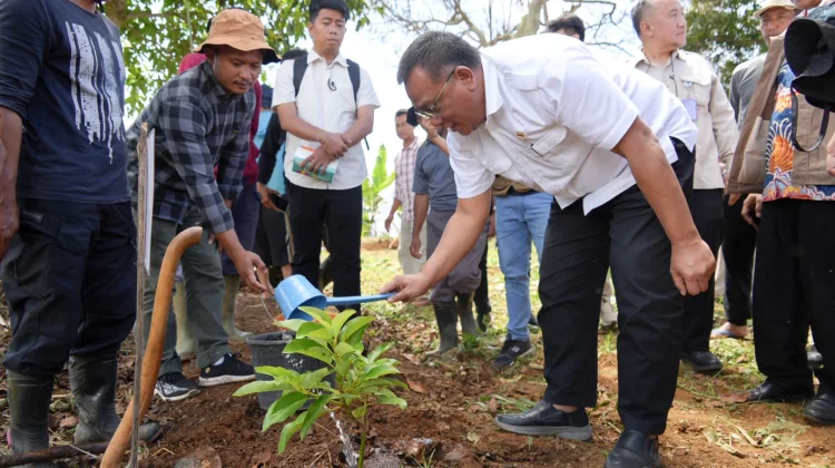 Hadapi Tantangan Perubahan Iklim, Menteri LH Tanam 1.000 Pohon di Cianjur