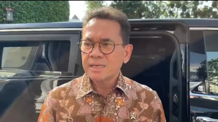 Pemerintah Pastikan Harga Minyakita Normal
