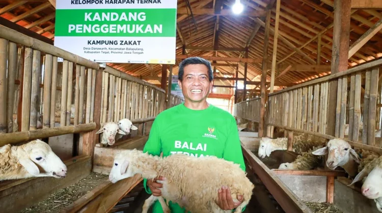 Bantu Ekonomi Mustahik, BAZNAS RI Resmikan Balai Ternak di Tegal