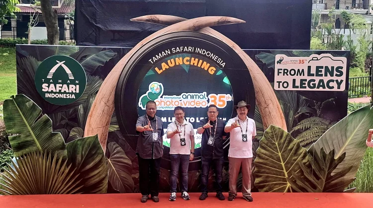 IAPVC 2026 Angkat Pesan Konservasi lewat Fotografi Satwa