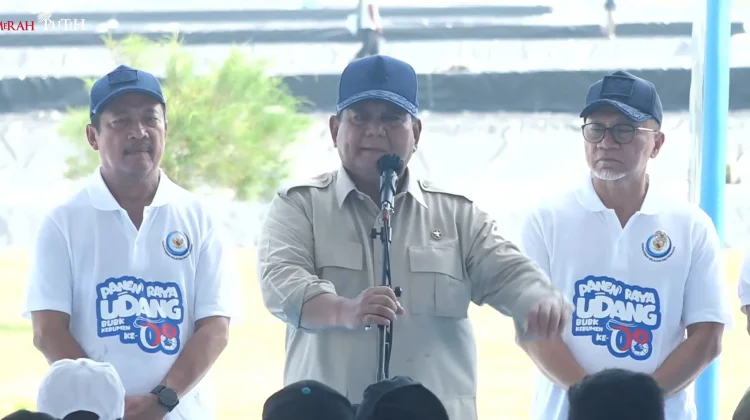 Hadiri Panen Raya Udang di Kebumen, Presiden: Dongkrak Ekonomi Masyarakat