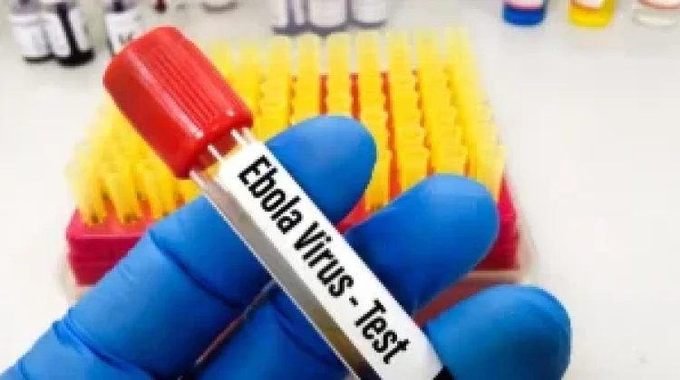 WHO Tekankan Deteksi Dini jadi Kunci Penanganan Wabah Ebola
