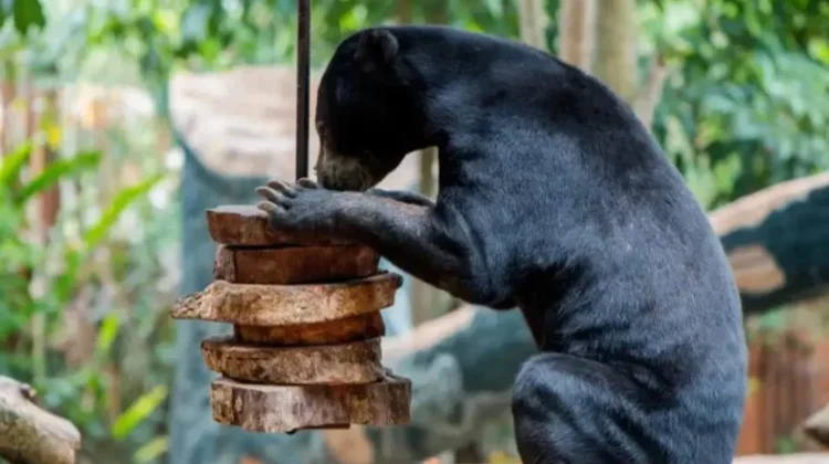 Jalan-jalan ke Batu Secret Zoo, Ini 5 Pengalaman Menarik Bisa Didapatkan!