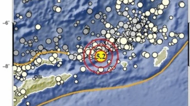 Gempa Magnitudo 5,2 Guncang Laut Banda, BMKG Pastikan Tak Tsunami