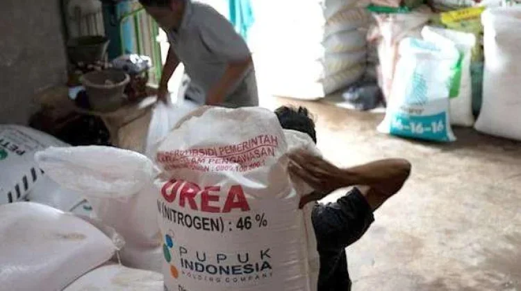 Pemerintah Berantas Mafia Pupuk Subsidi, Komisi IV DPR: Bongkar sampai Akar