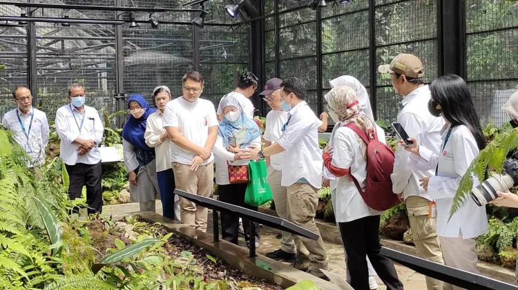 Dari Rafflesia hingga Nepenthes, BRIN Temukan Beragam Flora Baru Indonesia