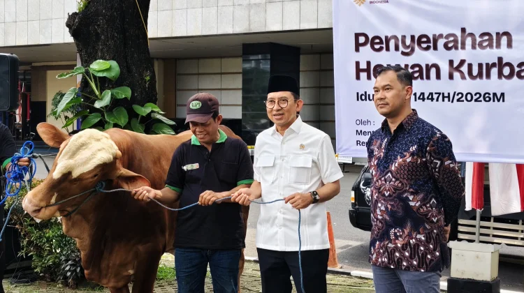 Hari Raya Iduladha 1447 H, Kemenbud Salurkan 23 Ekor Sapi