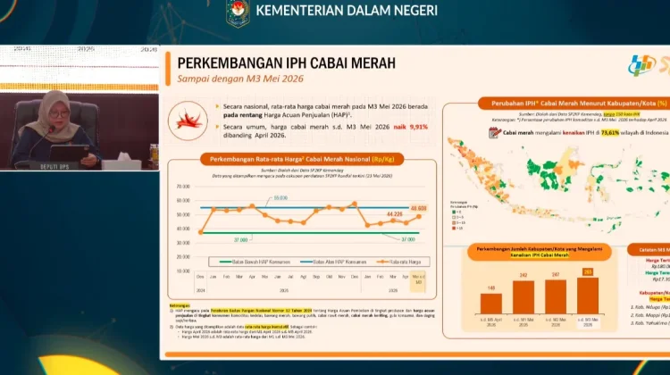 BPS: Harga Cabai Merah Naik, Masih di Rentang HAP