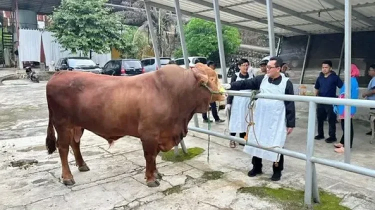 Puluhan Ribu Hewan Kurban di Depok Dinyatakan Sehat dan Layak Disembelih