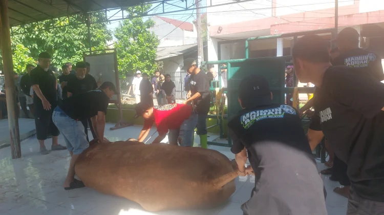 Warga Kayuringin Bekasi Senang dapat Sapi Kurban Menteri KKP Seberat 1 Ton