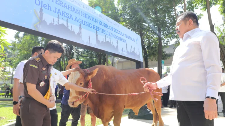 Kejagung Serahkan Puluhan Hewan Kurban Sambut Iduladha