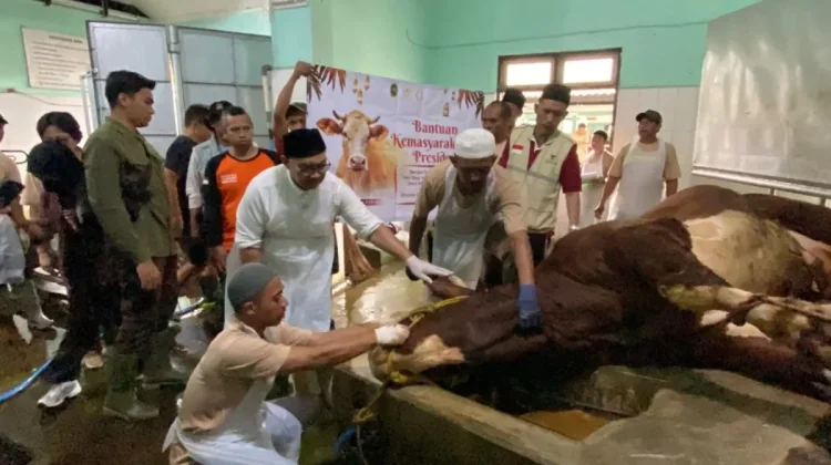 Daging Kurban Bantuan Presiden Dibagikan untuk Warga Bantaran Code Yogyakarta