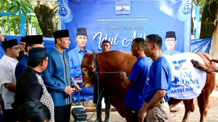 Demokrat DKI Salurkan 2000 Paket Kurban, AHY Tekankan Solidaritas Sosial