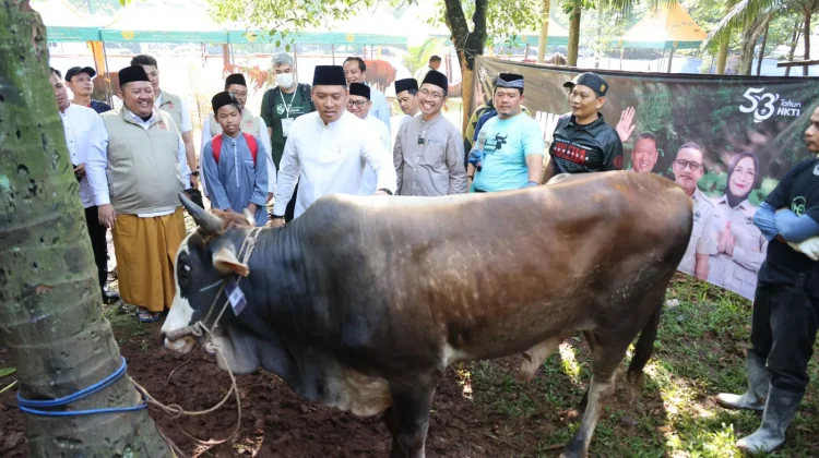 Wamentan: Stok Hewan Kurban Nasional Surplus